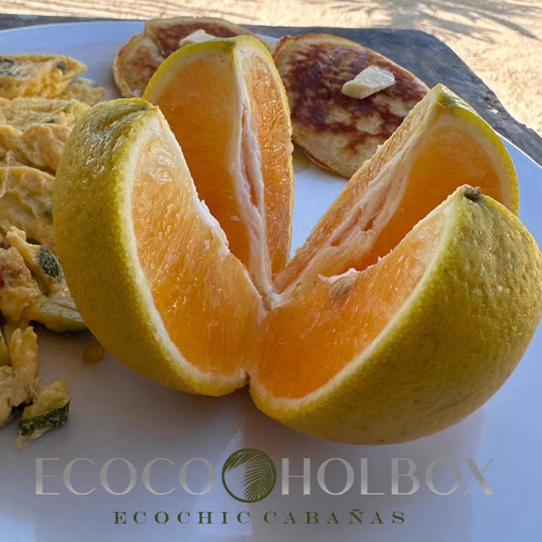 Ecoco Holbox - Ecochic - Cabanas De Madera - Holbox Retreat מראה חיצוני תמונה